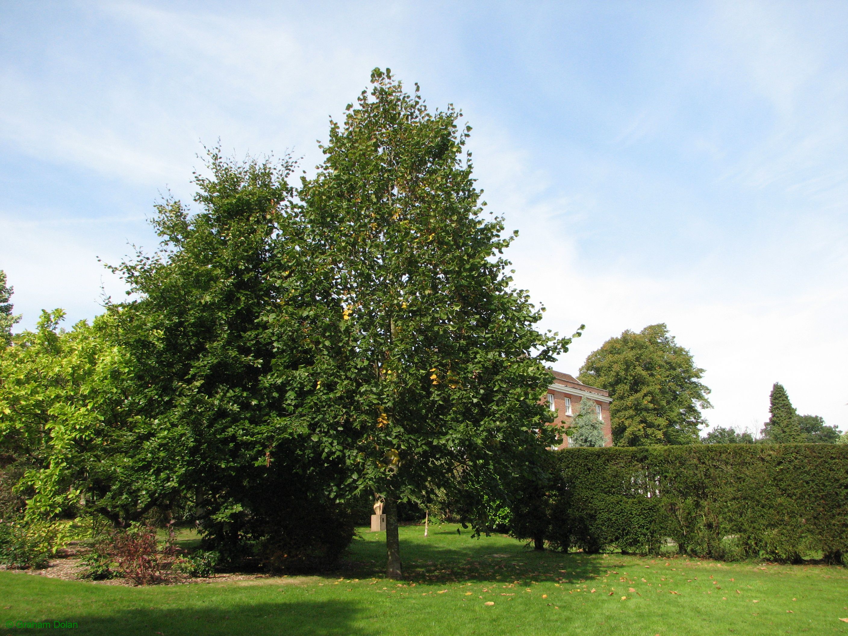 Greenwich Meridian Marker; England; West Sussex; East Grinstead